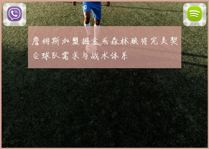 詹姆斯加盟掘金或森林狼将完美契合球队需求与战术体系