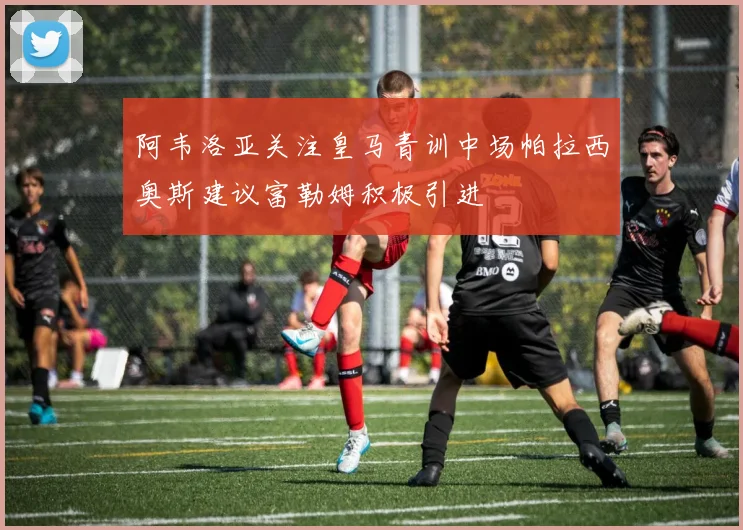 阿韦洛亚关注皇马青训中场帕拉西奥斯建议富勒姆积极引进